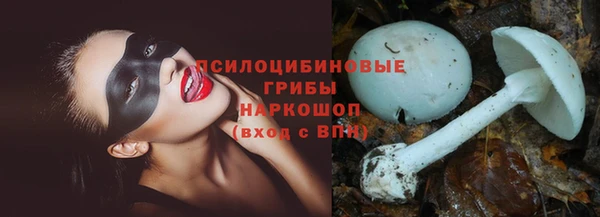 гидропоника Заволжск