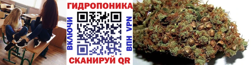 Купить закладки  Камбарка  Канабис план 